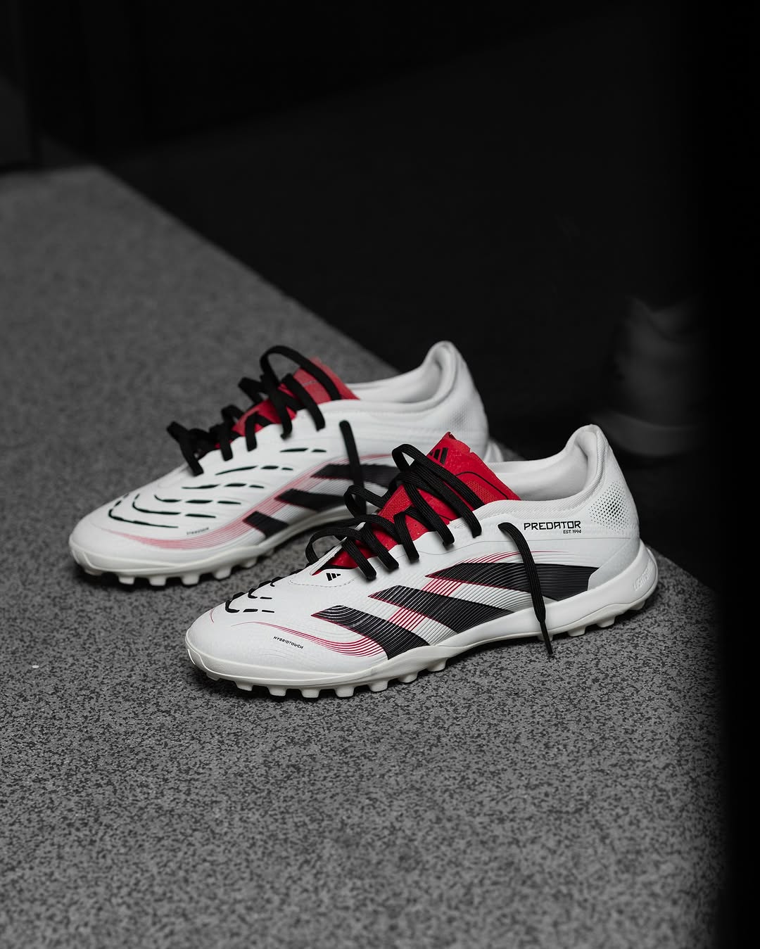 PREDATOR 24 2025