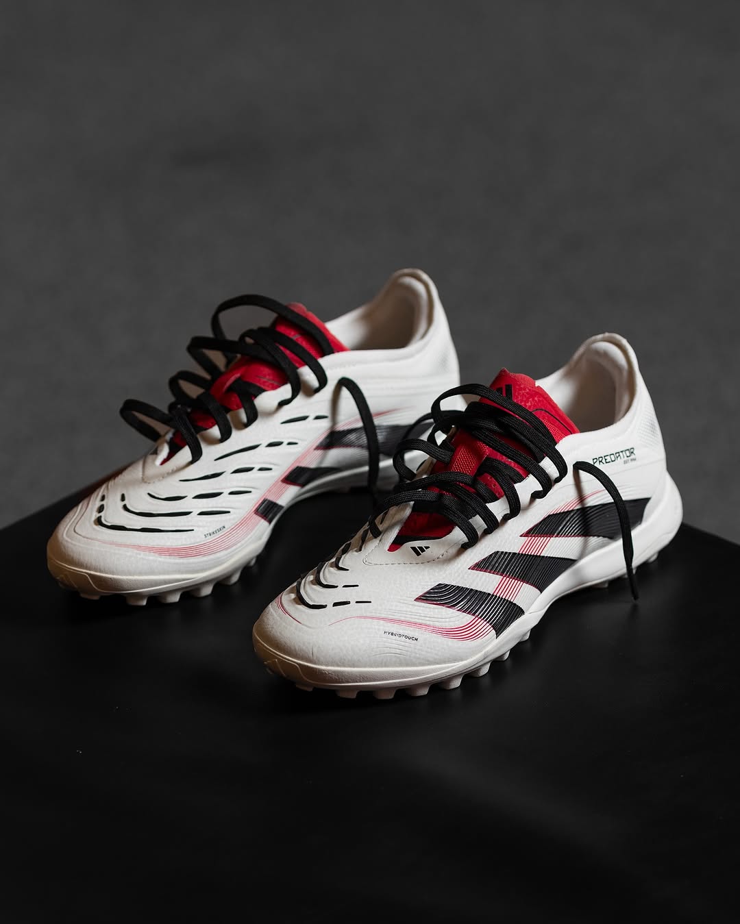 PREDATOR 24 2025