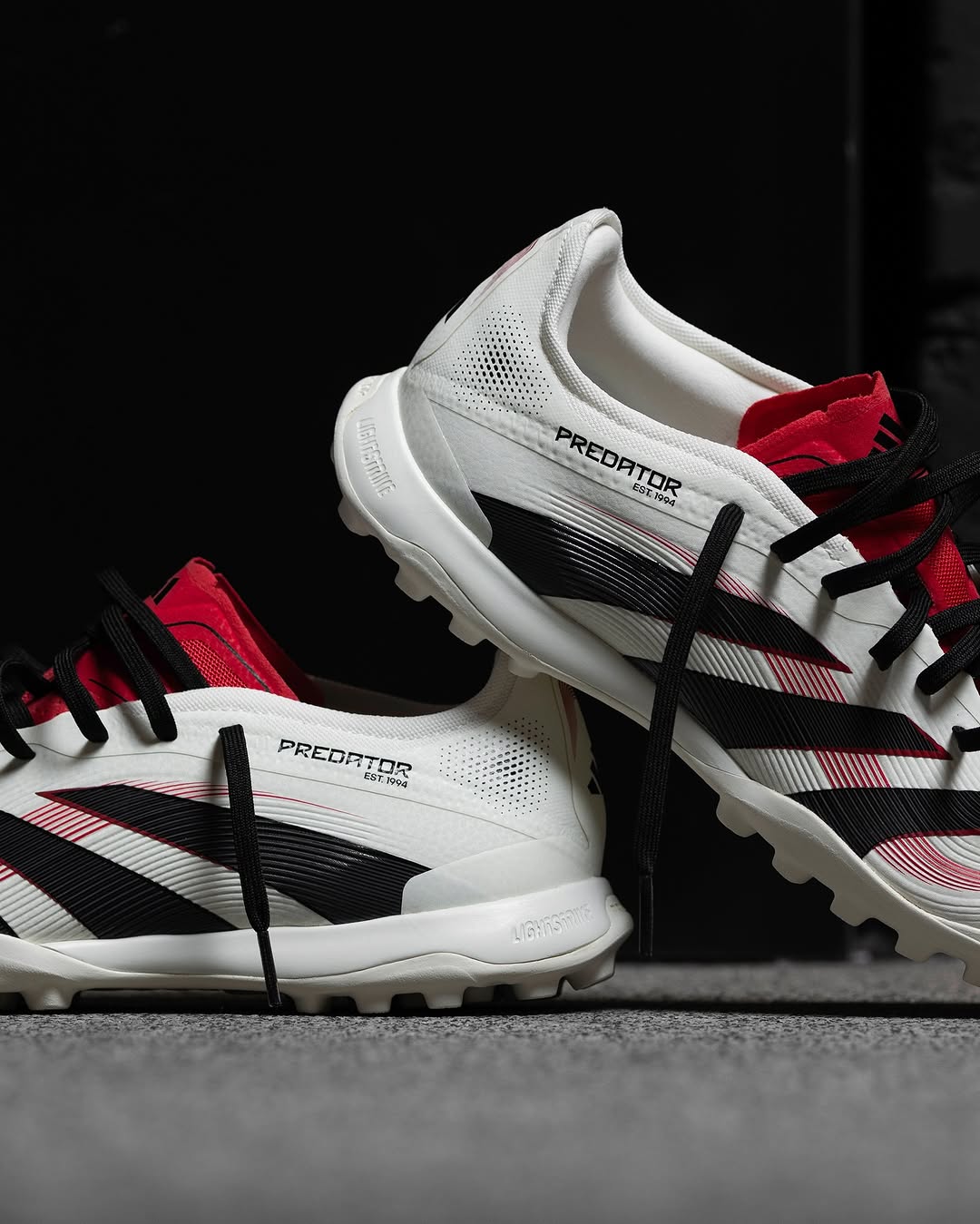 PREDATOR 24 2025