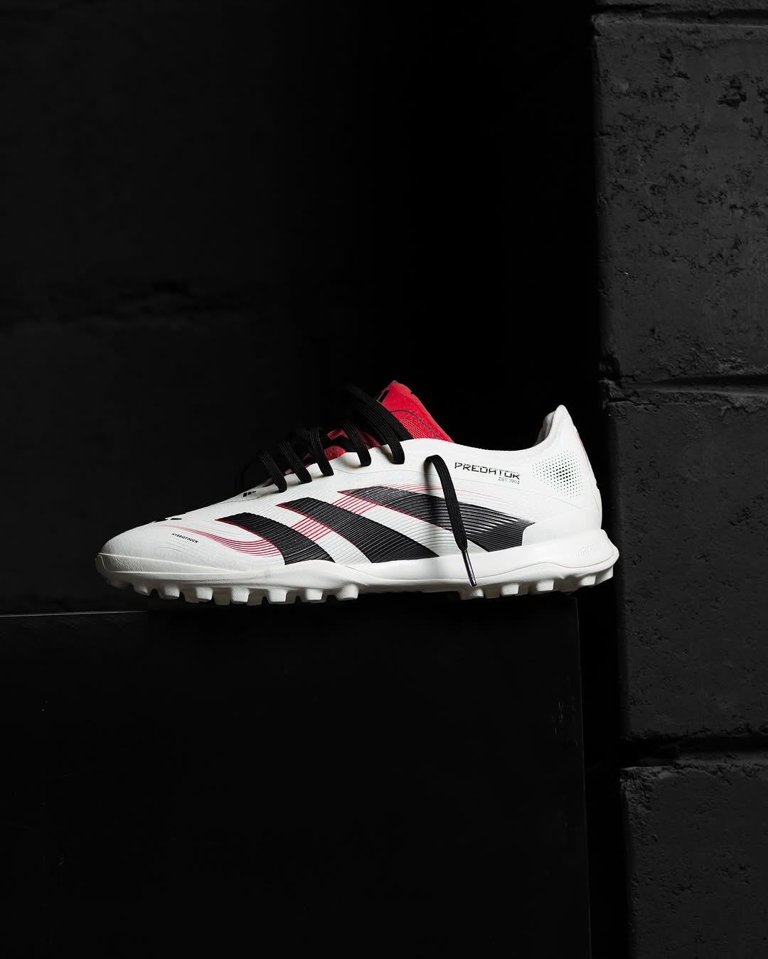 PREDATOR 24 2025